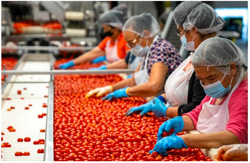 Mitarbeiterinnen in der Produktion